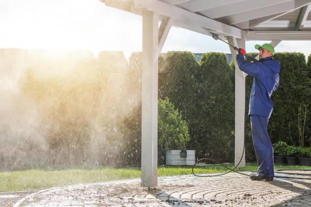 Best Roof Washing  in Elgin, MN