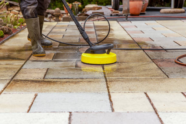 Best Animal Enclosure Cleaning  in Elgin, MN