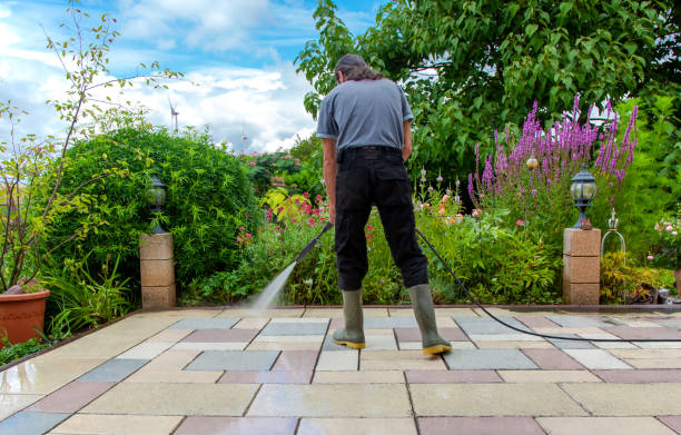  Elgin, MN Pressure Washing Pros